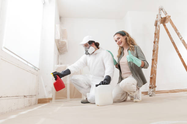 Environmental Consulting for Mold Prevention in Cornwall, PA